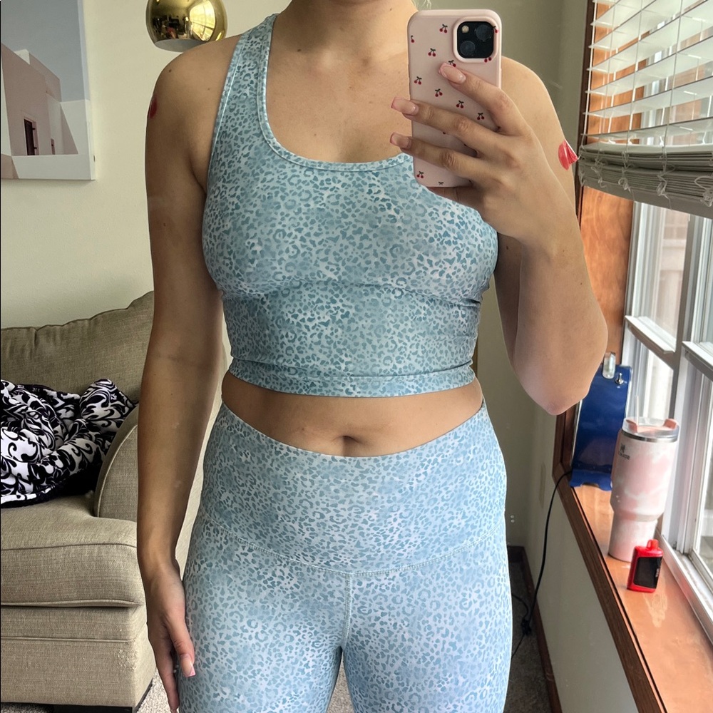 Evolution and Creation Animal Print Set